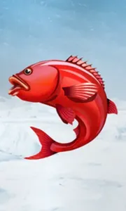 Ice Fishing